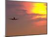 Commercial Airplane at Sunset-Mitch Diamond-Mounted Photographic Print