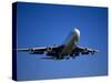 Commercial Airplane in Flight-Mitch Diamond-Stretched Canvas