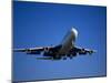 Commercial Airplane in Flight-Mitch Diamond-Mounted Photographic Print