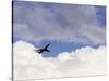 Commercial Airplane Soaring Above the Clouds-Mitch Diamond-Stretched Canvas