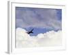 Commercial Airplane Soaring Above the Clouds-Mitch Diamond-Framed Photographic Print