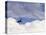 Commercial Airplane Soaring Above the Clouds-Mitch Diamond-Stretched Canvas