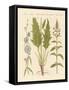 Commercial and Medical Plants-null-Framed Stretched Canvas