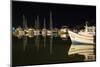 Commercial and Recreational Boats in Fulton Harbor-Larry Ditto-Mounted Photographic Print