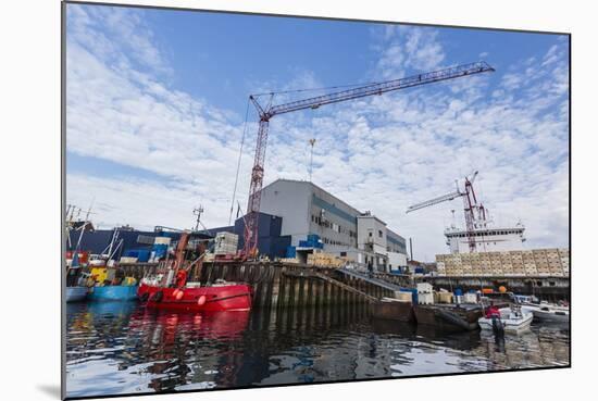 Commercial Fishing and Whaling Boats Line the Busy Inner Harbor in the Town of Ilulissat-Michael-Mounted Photographic Print