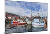 Commercial Fishing and Whaling Boats Line the Busy Inner Harbor in the Town of Ilulissat-Michael-Mounted Photographic Print