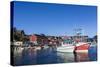 Commercial Fishing and Whaling Boats Line the Busy Inner Harbor in the Town of Ilulissat-Michael Nolan-Stretched Canvas