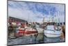 Commercial Fishing and Whaling Boats Line the Busy Inner Harbor in the Town of Ilulissat-Michael-Mounted Photographic Print