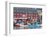 Commercial Fishing and Whaling Boats Line the Busy Inner Harbour in the Town of Ilulissat-Michael Nolan-Framed Photographic Print