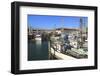 Commercial Fishing Boats at Fisherman's Wharf-Richard Cummins-Framed Photographic Print