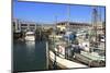 Commercial Fishing Boats at Fisherman's Wharf-Richard Cummins-Mounted Photographic Print