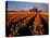 Commercial Tulip Field in the Skagit Valley, Washington, USA-Chuck Haney-Stretched Canvas