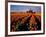 Commercial Tulip Field in the Skagit Valley, Washington, USA-Chuck Haney-Framed Photographic Print