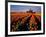 Commercial Tulip Field in the Skagit Valley, Washington, USA-Chuck Haney-Framed Photographic Print