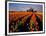 Commercial Tulip Field in the Skagit Valley, Washington, USA-Chuck Haney-Framed Photographic Print