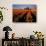 Commercial Tulip Field in the Skagit Valley, Washington, USA-Chuck Haney-Photographic Print displayed on a wall