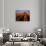 Commercial Tulip Field in the Skagit Valley, Washington, USA-Chuck Haney-Photographic Print displayed on a wall