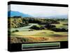 Commitment - Golf-unknown unknown-Stretched Canvas