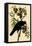 Common American Crow-John James Audubon-Framed Stretched Canvas