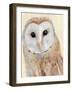 Common Barn Owl I-Annie Warren-Framed Art Print