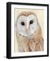 Common Barn Owl I-Annie Warren-Framed Art Print