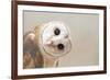 Common Barn Owl ( Tyto Albahead ) Head close Up-Anan Kaewkhammul-Framed Photographic Print