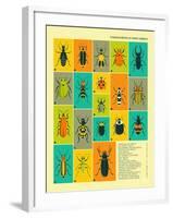 Common Beetles of North America-Jazzberry Blue-Framed Art Print