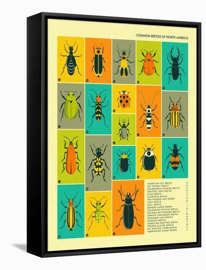 Common Beetles of North America-Jazzberry Blue-Framed Stretched Canvas