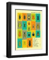 Common Beetles of North America-Jazzberry Blue-Framed Art Print