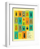 Common Beetles of North America-Jazzberry Blue-Framed Art Print