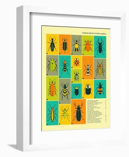 Common Beetles of North America-Jazzberry Blue-Framed Art Print