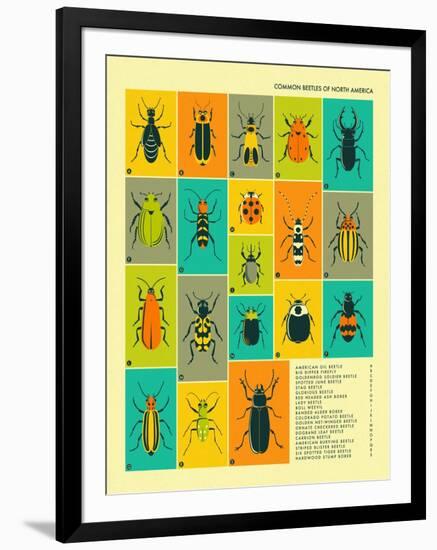Common Beetles of North America-Jazzberry Blue-Framed Art Print