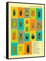 Common Beetles of North America-Jazzberry Blue-Framed Stretched Canvas