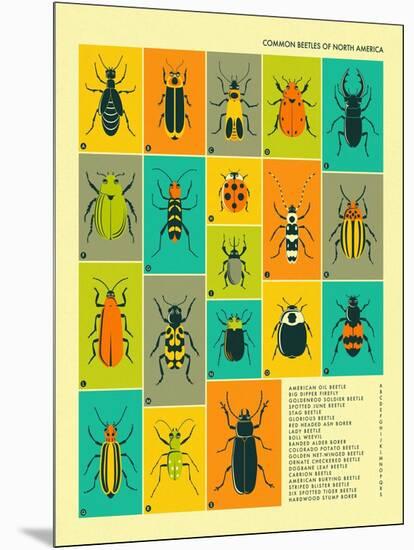Common Beetles of North America-Jazzberry Blue-Mounted Art Print