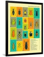 Common Beetles of North America-Jazzberry Blue-Framed Art Print