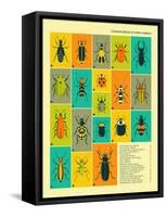 Common Beetles of North America-Jazzberry Blue-Framed Stretched Canvas