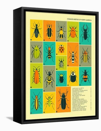 Common Beetles of North America-Jazzberry Blue-Framed Stretched Canvas