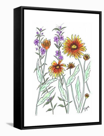 Common Blanket Flower-Beverly Dyer-Framed Stretched Canvas