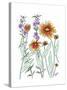 Common Blanket Flower-Beverly Dyer-Stretched Canvas