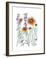 Common Blanket Flower-Beverly Dyer-Framed Art Print