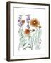 Common Blanket Flower-Beverly Dyer-Framed Art Print