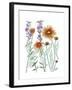 Common Blanket Flower-Beverly Dyer-Framed Art Print