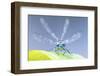 Common blue damselfly portrait, early morning light, Broxwater, Cornwall, UK-Ross Hoddinott-Framed Photographic Print