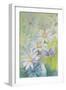 Common Blue (Polyommetus Icarus) on Daisies-Karen Armitage-Framed Giclee Print