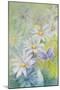 Common Blue (Polyommetus Icarus) on Daisies-Karen Armitage-Mounted Giclee Print