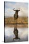 Common (blue) wildebeest (gnu) (Connochaetes taurinus) with reflection at waterhole, Zimanga privat-Ann and Steve Toon-Stretched Canvas