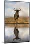 Common (blue) wildebeest (gnu) (Connochaetes taurinus) with reflection at waterhole, Zimanga privat-Ann and Steve Toon-Mounted Photographic Print