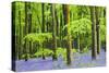 Common Bluebells (Hyacinthoides Non-Scripta) Flowering in West Woods in Springtime-Adam Burton-Stretched Canvas