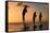 Common Bottlenose Dolphin (Tursiops truncatus) three adults, leaping, silhouetted at sunset, Roatan-Jurgen & Christine Sohns-Framed Stretched Canvas