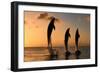 Common Bottlenose Dolphin (Tursiops truncatus) three adults, leaping, silhouetted at sunset, Roatan-Jurgen & Christine Sohns-Framed Photographic Print